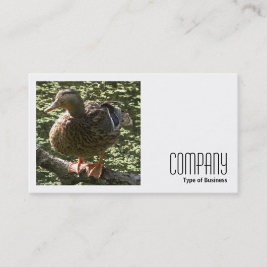 正方形の写真(v2) - Happy Duck 名刺 (正面)