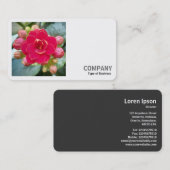 正方形の写真(v2) - Kananchune 名刺 (正面/裏面)