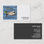 正方形の写真(v2) - Mallard Duck 名刺 (正面/裏面)