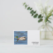 正方形の写真(v2) - Mallard Duck 名刺 (スタンド正面)