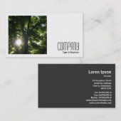 正方形の写真(v2) - Sun Through Trees 名刺 (正面/裏面)