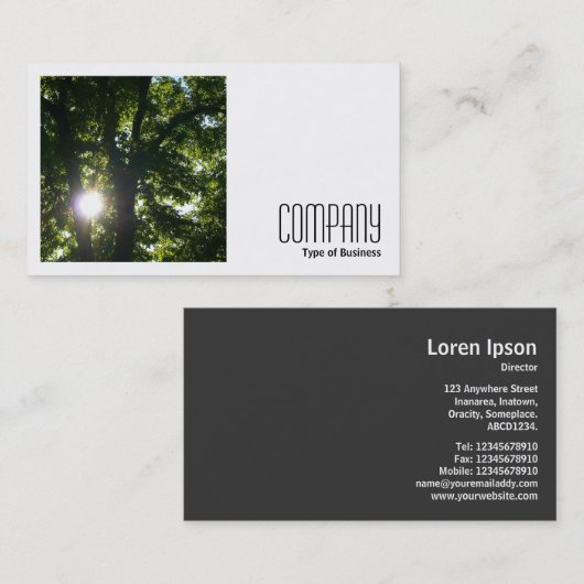正方形の写真(v2) - Sun Through Trees 名刺 (正面/裏面)