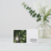 正方形の写真(v2) - Sun Through Trees 名刺 (スタンド正面)