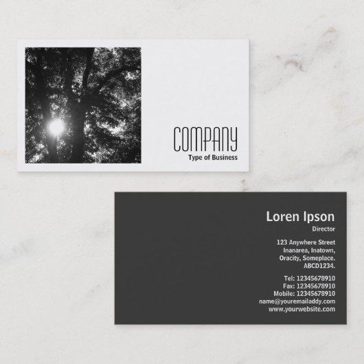 正方形の写真(v2) - Sun Through Trees B&W 名刺 (正面/裏面)