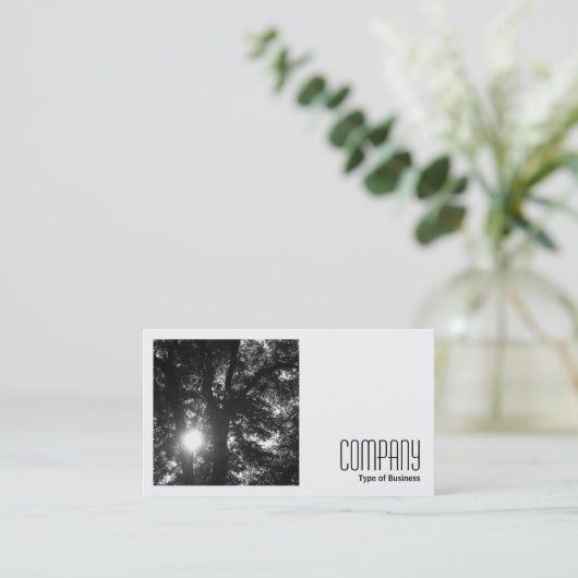 正方形の写真(v2) - Sun Through Trees B&W 名刺 (スタンド正面)