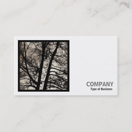 正方形の写真(v2) - Tree Spirits 名刺 (正面)