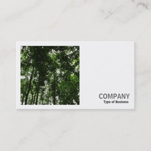 正方形の写真(v2) - Woodland Canopy 01 名刺 (正面)