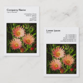 正方形の写真(v3) – アフリカのデイジー 名刺 (正面/裏面)