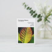 正方形の写真(v3) -カラフルリーフ 名刺 (スタンド正面)