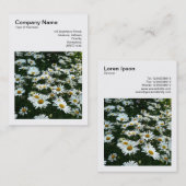 正方形の写真(v3) – シャスタデイジー 名刺 (正面/裏面)