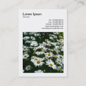 正方形の写真(v3) – シャスタデイジー 名刺 (裏面)