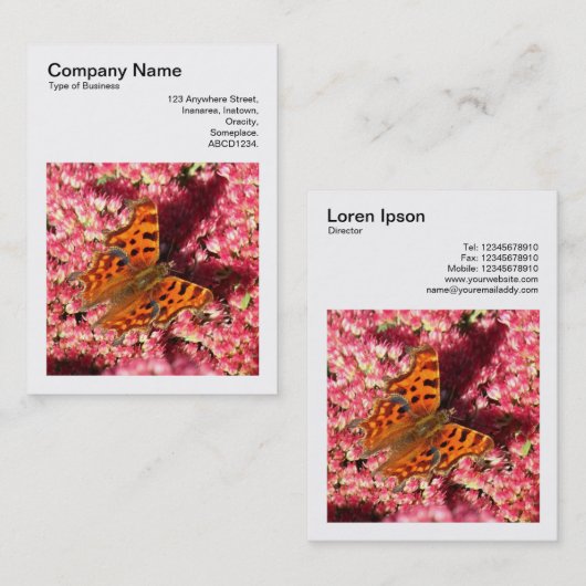 正方形の写真(v3) – セダムのカンマ蝶 名刺 (正面/裏面)