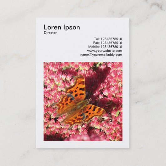 正方形の写真(v3) – セダムのカンマ蝶 名刺 (裏面)