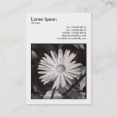 正方形の写真(v3) -デイジー 名刺 (裏面)