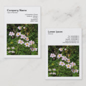 正方形の写真(v3) – ピンクのアネモネス 名刺 (正面/裏面)