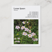 正方形の写真(v3) – ピンクのアネモネス 名刺 (裏面)