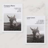 正方形の写真(v3) - フレンドリー Donkey 名刺 (正面/裏面)