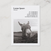 正方形の写真(v3) - フレンドリー Donkey 名刺 (裏面)