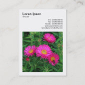 正方形の写真(v3) – マイカエルマスデイジー02 名刺 (裏面)