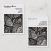 正方形の写真(v3) – マグノリアの木の枝 名刺 (正面/裏面)