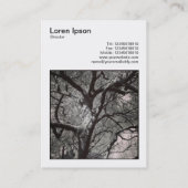 正方形の写真(v3) – マグノリアの木の枝 名刺 (裏面)