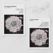 正方形の写真(v3) -菊 名刺 (正面/裏面)