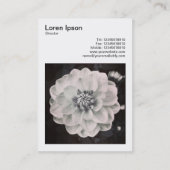 正方形の写真(v3) -菊 名刺 (裏面)