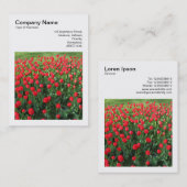 正方形の写真(v3) – 赤チューリップ01 名刺 (正面/裏面)