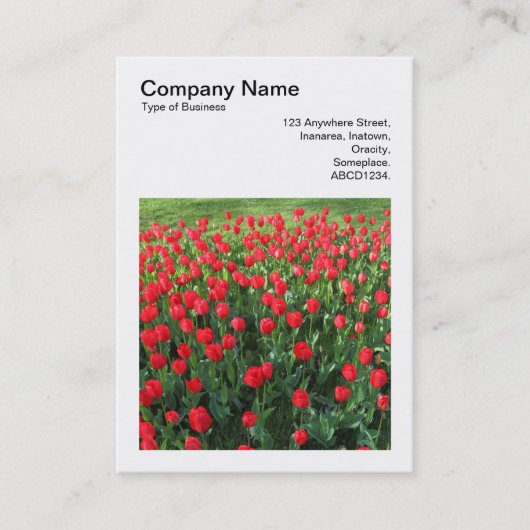 正方形の写真(v3) – 赤チューリップ01 名刺 (正面)