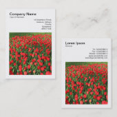 正方形の写真(v3) – 赤チューリップ02 名刺 (正面/裏面)