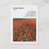 正方形の写真(v3) – 赤チューリップ02 名刺 (裏面)