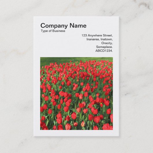 正方形の写真(v3) – 赤チューリップ02 名刺 (正面)