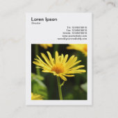 正方形の写真(v3) – 黄色のデイジー 名刺 (裏面)