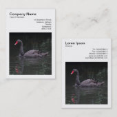 正方形の写真(v3) – 黒い白鳥 名刺 (正面/裏面)