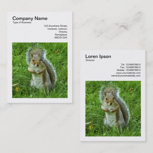 正方形の写真(v3) - Guitted Gray Squirrel 名刺 (正面/裏面)