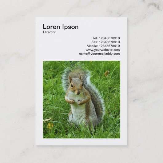 正方形の写真(v3) - Guitted Gray Squirrel 名刺 (裏面)