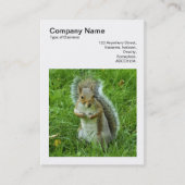 正方形の写真(v3) - Guitted Gray Squirrel 名刺 (正面)