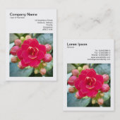 正方形の写真(v3) - Kalanchie 名刺 (正面/裏面)