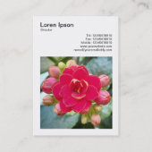 正方形の写真(v3) - Kalanchie 名刺 (裏面)