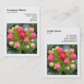 正方形の写真(v3) - Kalanchne Buds 名刺 (正面/裏面)