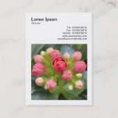 正方形の写真(v3) - Kalanchne Buds 名刺 (裏面)