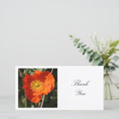 正方形の写真 – Welsh Poppy サンキューカード (スタンド正面)