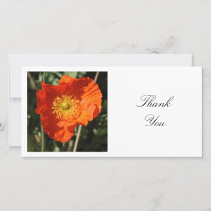 正方形の写真 – Welsh Poppy サンキューカード