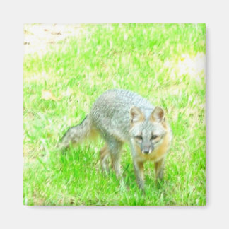 正方形マグネットカスタマイズ-  マグネット