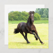 正方形招待状-カスタマイズ 招待状 (正面/裏面)