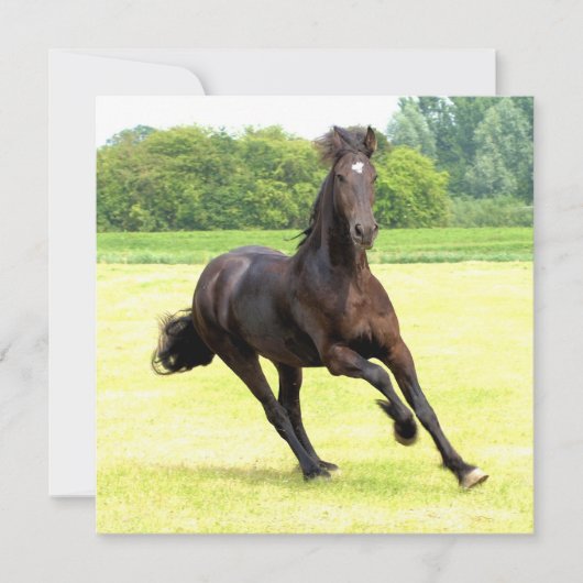 正方形招待状-カスタマイズ 招待状 (正面)