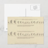 正気でない統計米国リトグラフ1870 ポストカード (正面/裏面)