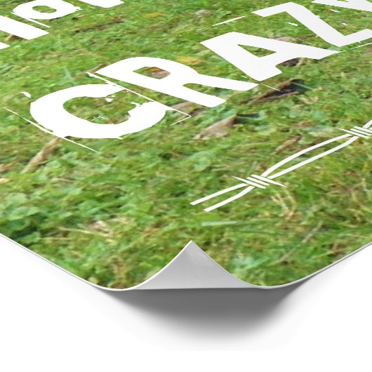 正気に見えるかもしれないが、私は馬絵を描車酔いだ! ポスター (角)