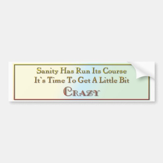 正気はコースを走りました バンパーステッカー (正面)