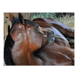 正王室のに フォトプリント           